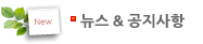 news_icon